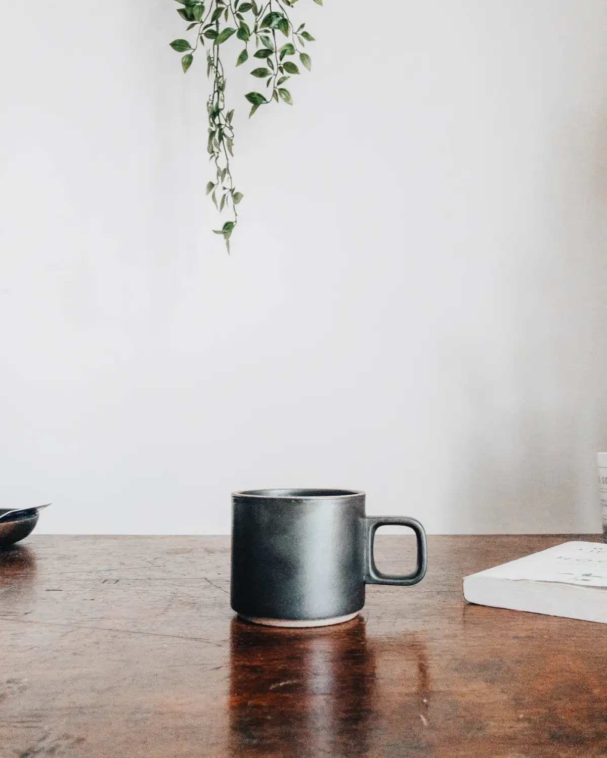 The Fen mug in deep iron glaze on a wooden table
